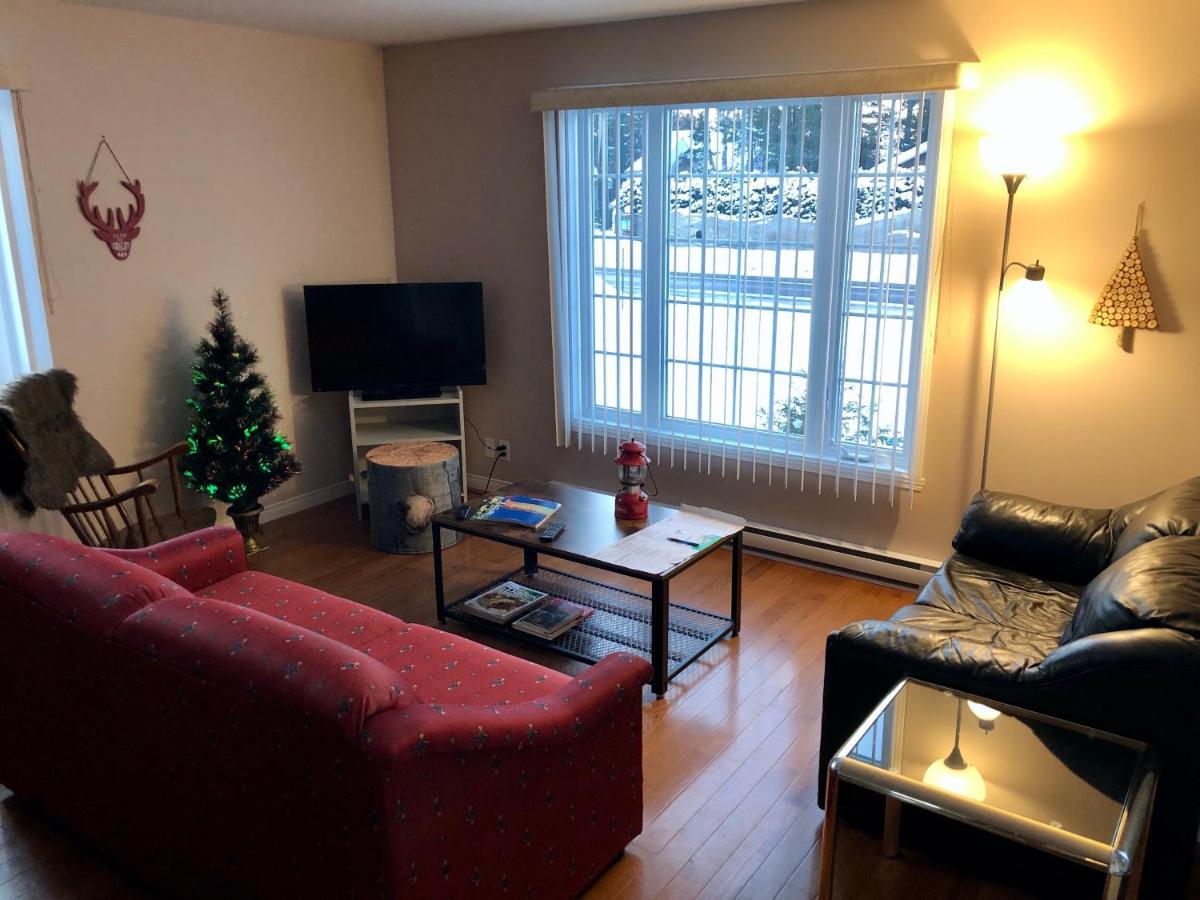 Le Chalet De Claude, Au Pied Des Monts-Valin Saint-David-de-Falardeau ภายนอก รูปภาพ