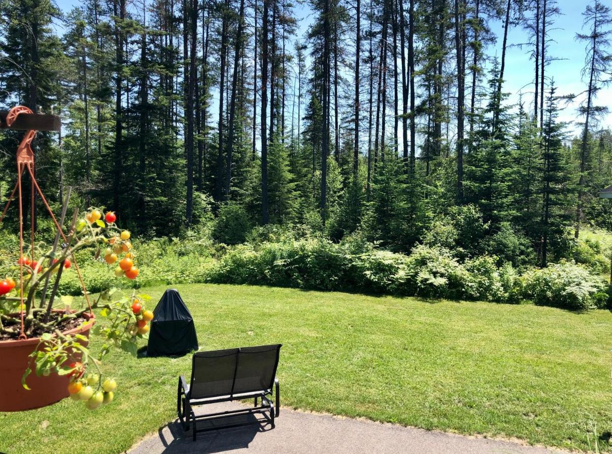 Le Chalet De Claude, Au Pied Des Monts-Valin Saint-David-de-Falardeau ภายนอก รูปภาพ